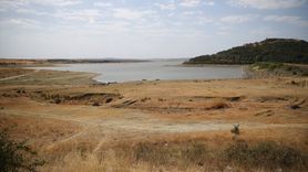 Altınyazı Barajı Kuraklıkta Çeltik Üreticisinin Kurtarıcısı Oldu