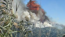 Antalya'da Sazlık Alanında Yangın Söndürüldü