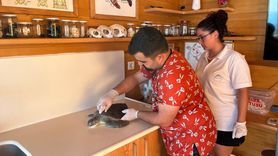 Antalya'da Yangın Kaplumbağası Ambulansı Hizmeti Başlıyor