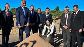 Ayanlar Höyük'te Kazı Çalışmaları Başladı