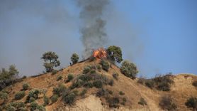 Aydın'da Zeytinlik ve Ormanlık Alanda Yangın