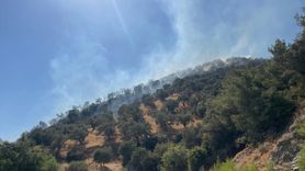 Aydın'da Zeytinlikte Yangın Kontrol Altına Alındı