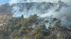 Aydın'daki Orman Yangını Kontrol Altına Alındı