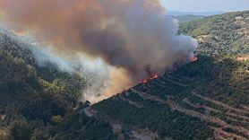 Balıkesir'de Orman Yangınına Müdahele