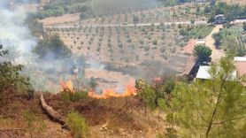 Balıkesir'de Orman Yangını Kontrol Altına Alındı