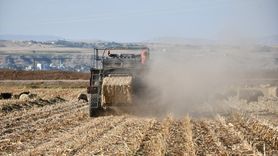 Batman'da Mısır Anızı Biyoyakıt Olarak Değerlendiriliyor