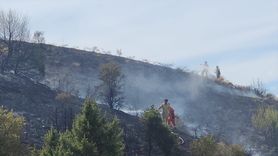 Bingöl'deki Kırsal Alan Yangını Kontrol Altına Alındı
