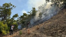 Bingöl'deki Orman Yangınına Hızlı Müdahale