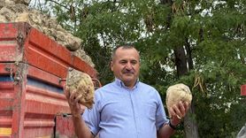 Burdur Şeker Fabrikası'ndan 2025-2026 Dönemi İçin Kristal Şeker Üretimi Hedefi