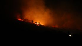 Bursa'da Orman Yangını: Ekipler Mücadele Ediyor