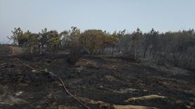 Bursa'daki Orman Yangını Kontrol Altına Alındı