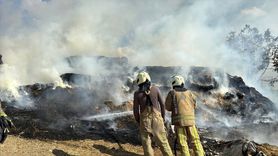 Büyükçekmece'de Çıkan Ahır Yangını Kontrol Altına Alındı