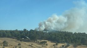 Çanakkale'deki Yangın Kontrol Altına Alındı