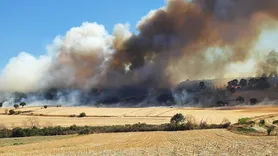 Çanakkale'deki Zeytinlik Yangını Kontrol Altına Alındı