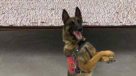 Denizli'de Uyuşturucu Operasyonu: Bir Zanlı Tutuklandı