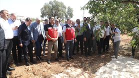 Diyarbakır'da Badem Hasadı Etkinliği Gerçekleştirildi