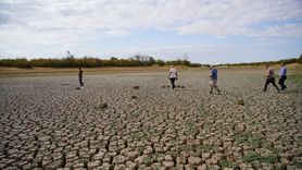 Edirne'deki Şerbettar Göleti Kurudu, Hayvancılar Zor Durumda
