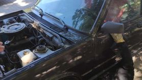 Erzincan'da Kedi Yavrusunun Kurtarılması