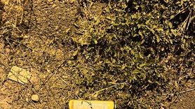 Erzurum'da Çakmak Tüpü Patladı, İki Kişi Yaralandı