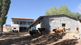 Eski Hükümlü Oğuz Abbas'ın Hayvancılık Başarısı