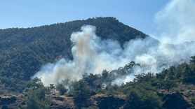 Gaziantep'te Orman Yangını: 1 Hektar Zarar