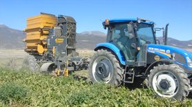 Gaziantep'te Şeker Pancarı Hasadı Başladı