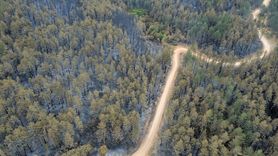Karabük'te Orman Yangınları Havadan Görüntülendi