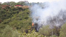 Kocaeli'de Orman Yangını Kontrol Altına Alındı