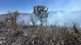 Konya'da Orman Yangınındaki Müdahale Devam Ediyor