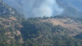 Köyceğiz'deki Orman Yangınına Hızla Müdahale