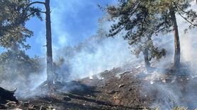 Köyceğiz Orman Yangını Kontrol Altına Alındı