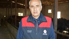 Malatya'da Besicilere 2.932 Damızlık Büyükbaş Hayvan Dağıtılacak