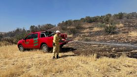 Mardin'de Orman Yangını Kontrol Altına Alındı