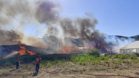 Mersin'de Serada Yangın Kontrol Altına Alındı