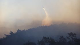 Milas'ta Orman Yangınına Acil Müdahale