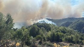 Muğla ve Antalya'daki Orman Yangınlarına Müdahale Devam Ediyor