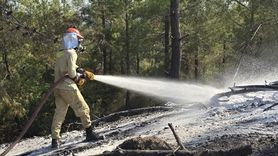 Osmaniye'de Orman Yangını Kontrol Altına Alındı