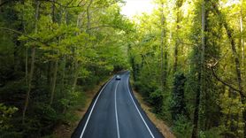 Safranbolu'daki Doğal Güzellik: Ağaç Tüneli