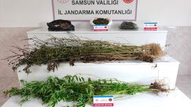 Samsun'da Uyuşturucu Operasyonu: 3 Gözaltı