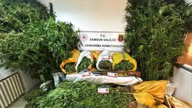 Samsun'da Uyuşturucu Operasyonu: Baba-Oğul Tutuklandı