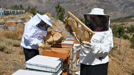 Şehir Hayatına Veda Eden Çift, Arıcılıkla Başarıya Ulaşmayı Hedefliyor