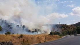 Sivas'taki Yangınla İlgili Söndürme Çalışmaları Devam Ediyor