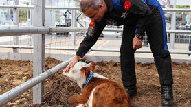 Teknolojinin Kalbi TEKNOFEST'te Atıyor: Tarım Teknolojileri Kümelenmesi Ziyaretçilerini Ağırladı
