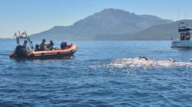 Tuna Tunca, Cebelitarık Boğazı'nı Geçen İlk Otizmli Türk Sporcu