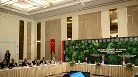 Türkiye, İklim Kriziyle Mücadelede Kararlı Adımlar Atıyor