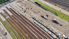 Türkiye Kuru Üzüm İhracatında Rekor Gelir Elde Etti