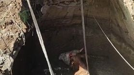 Yozgat'ta Su Kuyusuna Düşen İnek Kurtarıldı