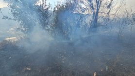 Zonguldak'ta Ortaya Çıkan Yangın Kontrol Altına Alındı