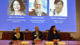 2025 Nobel Tıp Ödülü Sahipleri Belli Oldu