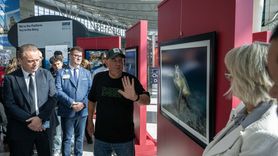 Akdeniz'de Nesli Tehlike Altında Olan Türler Sergisi Açıldı